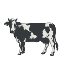 yrityksen logo
