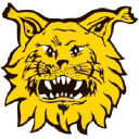 yrityksen logo