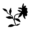 yrityksen logo