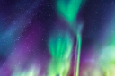 yrityksen logo