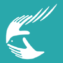 yrityksen logo