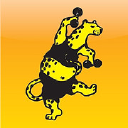 yrityksen logo