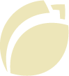 yrityksen logo