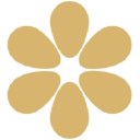 yrityksen logo