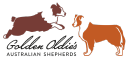 yrityksen logo