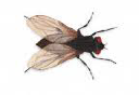 yrityksen logo