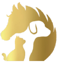 yrityksen logo