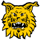 yrityksen logo